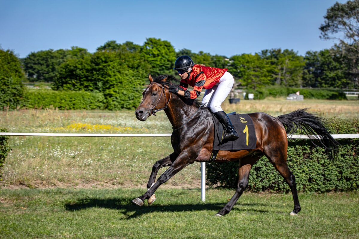 turf baraka pronostic vient