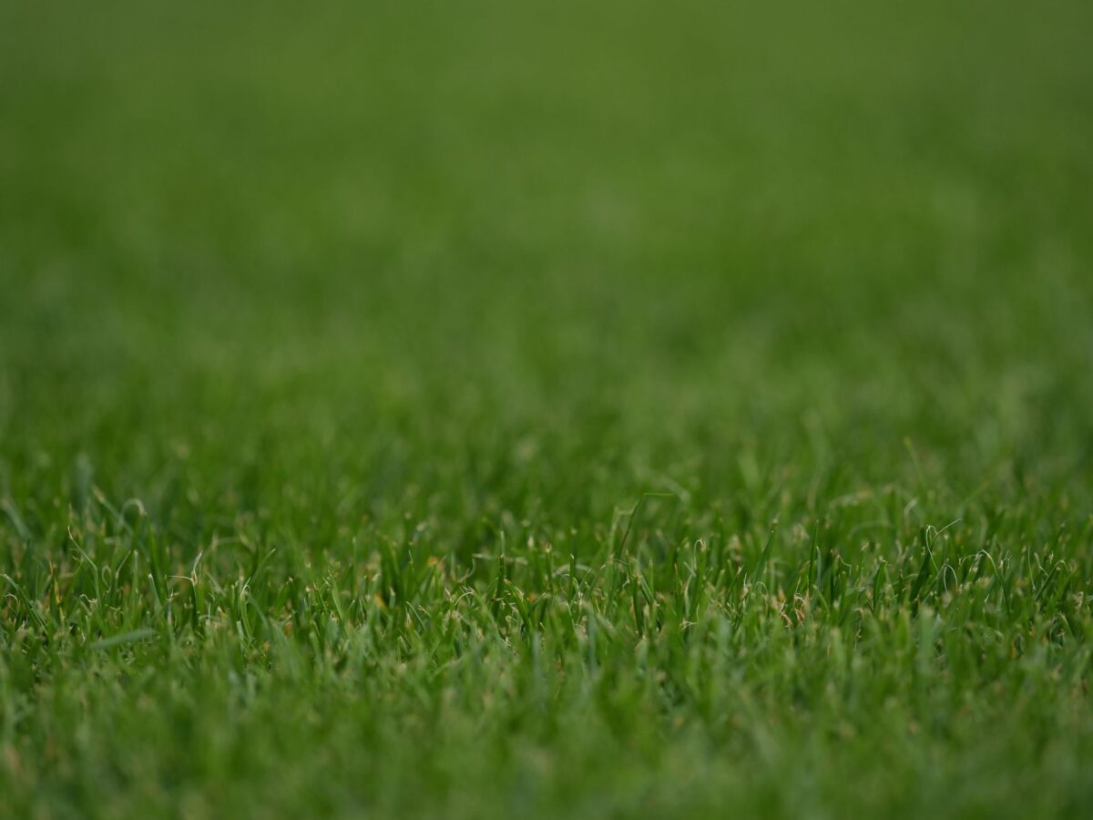 leaders turf démasquer cas usage profil