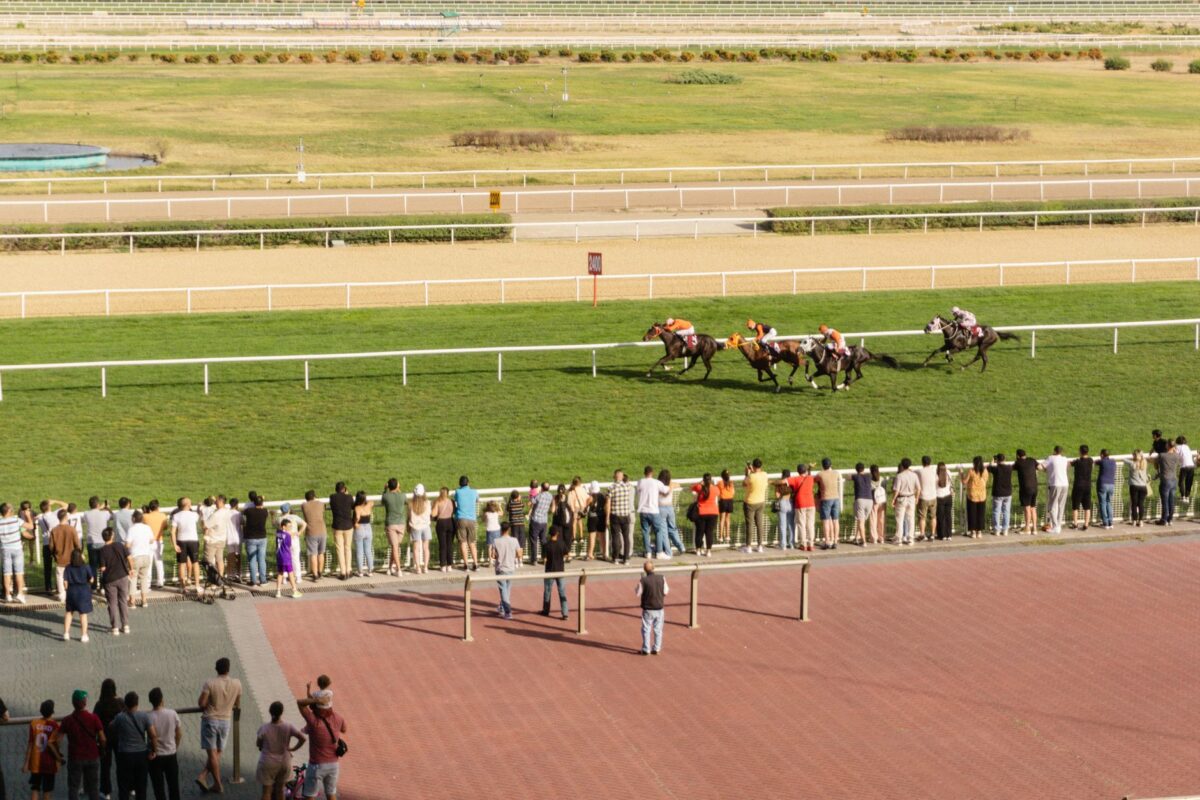 champion turf comprendre site monde ne